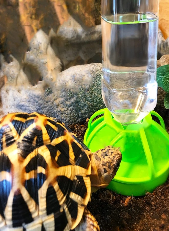 Caylingdee Reptile Water Bottle Turtle Food Dish and Water Bowl Automatic Feeders Waterer Tortoise Dispenser Bottle Feeding Dish for Lizard Chameleon - Image 5